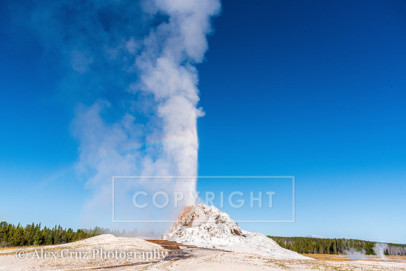 _AC14979