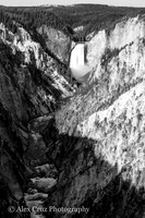 YellowStone